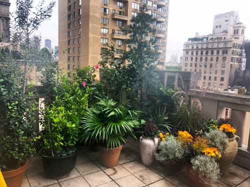 NYC Terrace